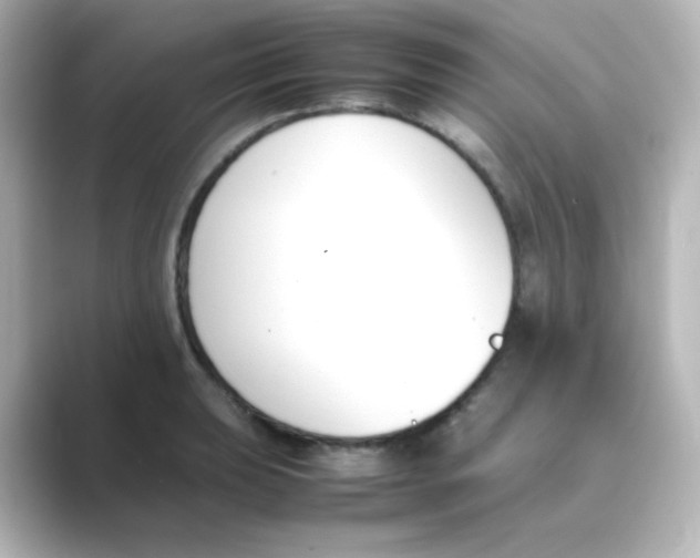 X0000088681039200706211905