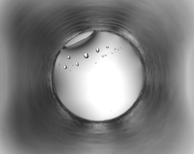 X0000088681041200706211905