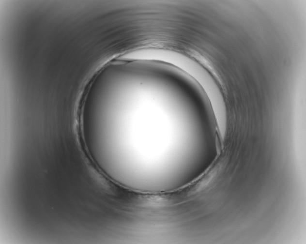 X0000088681042200706211905