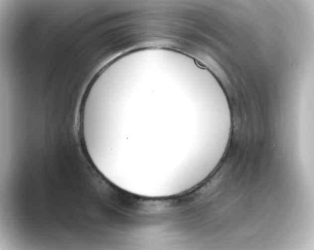 X0000088681044200706211905