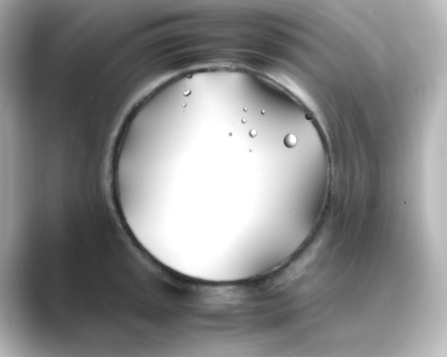 X0000088681045200706211905