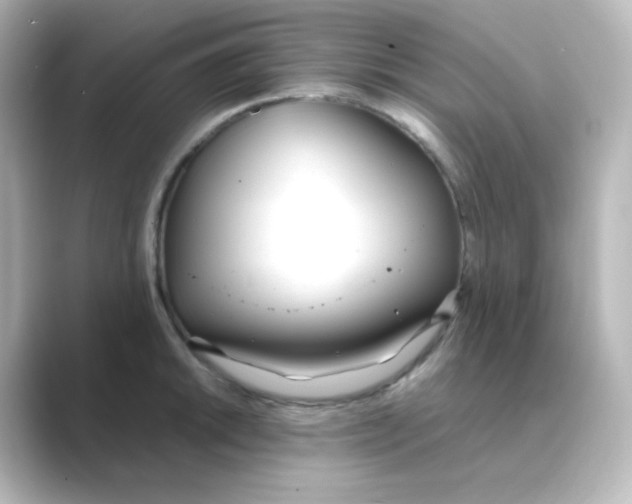 X0000088681046200706211905