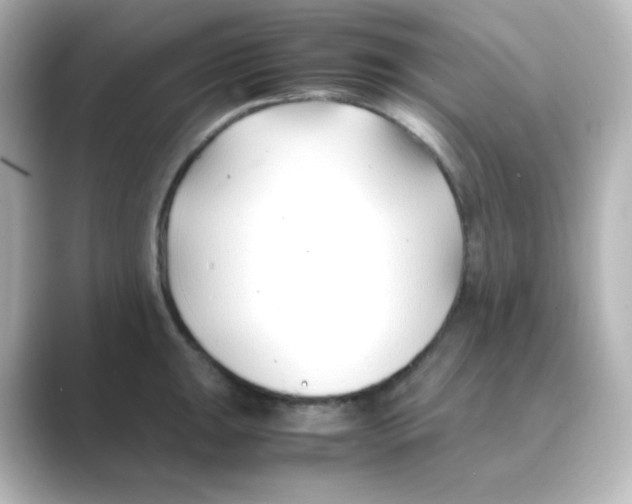 X0000088681047200706211905