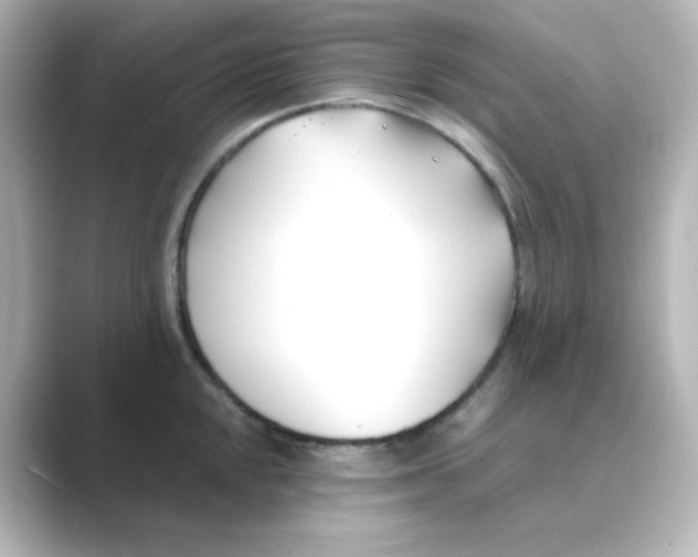 X0000088681048200706211905