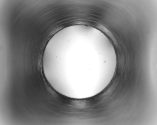 X0000088681049200706211905