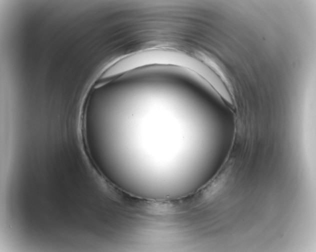 X0000088681050200706211905