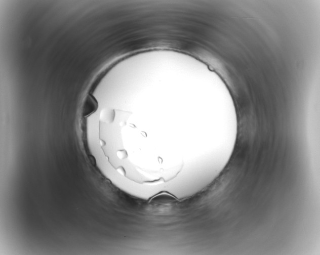X0000088681051200706211905