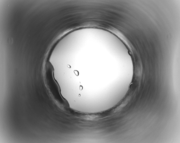 X0000088681053200706211905