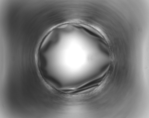 X0000088681054200706211905