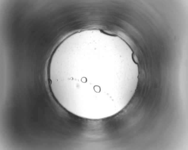 X0000088681055200706211905