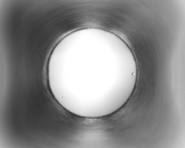X0000088681056200706211905