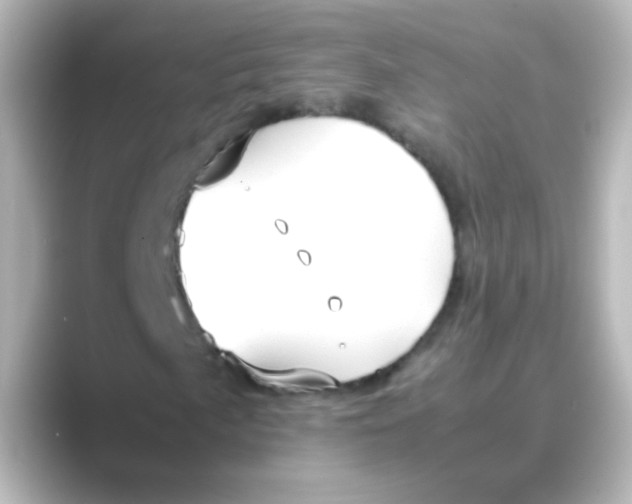 X0000088681057200706211905