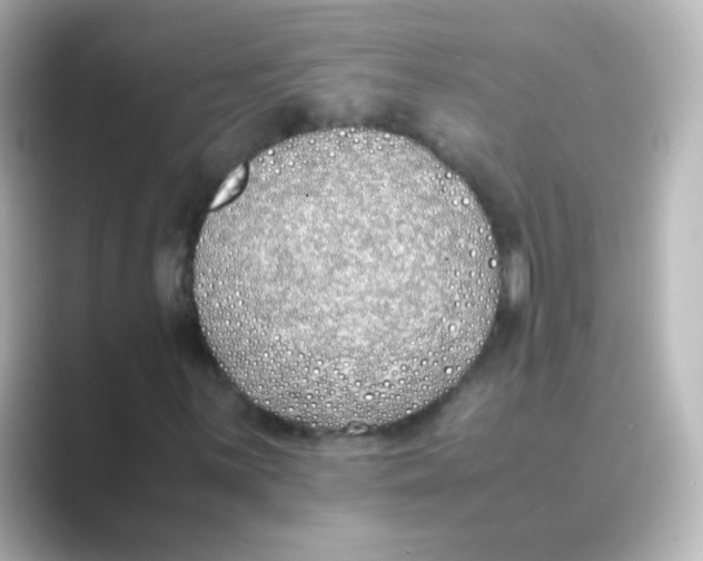 X0000088681059200706211905