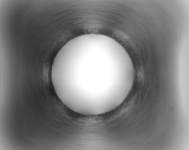X0000088681060200706211905