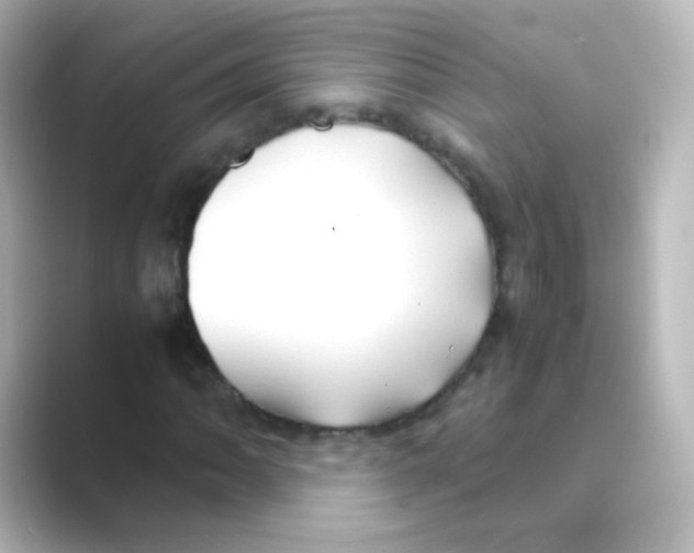 X0000088681062200706211905