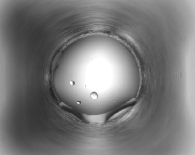 X0000088681065200706211905