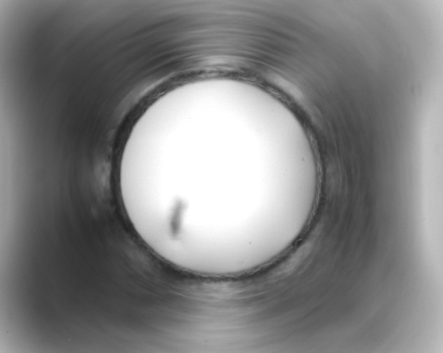 X0000088681066200706211905