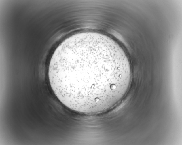 X0000088681067200706211905
