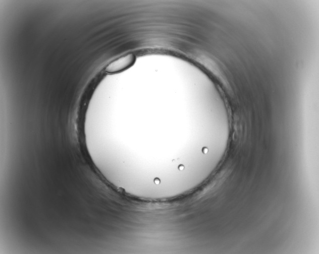 X0000088681068200706211905