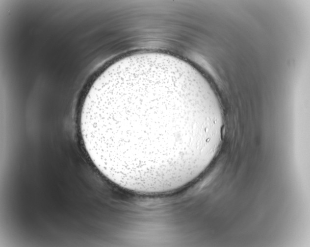 X0000088681071200706211905