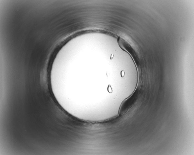 X0000088681072200706211905