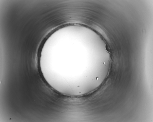 X0000088681076200706211905