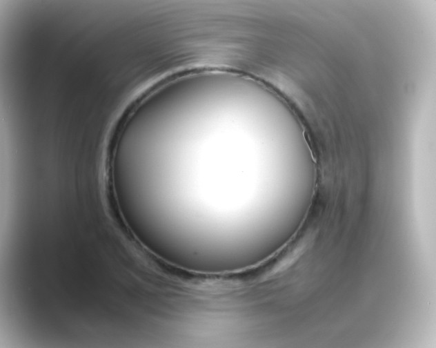 X0000088681077200706211905