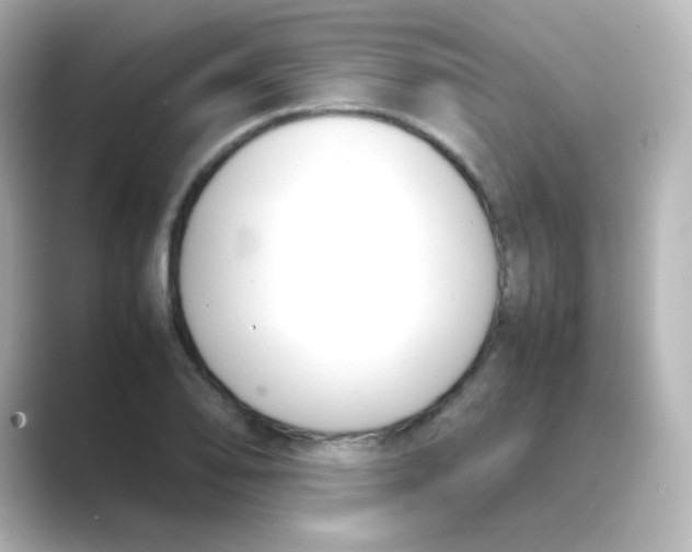 X0000088681078200706211905