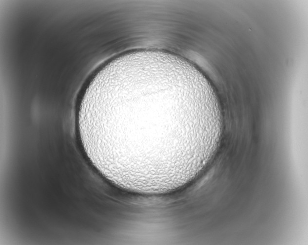 X0000088681079200706211905