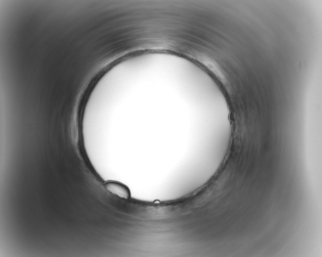 X0000088681080200706211905