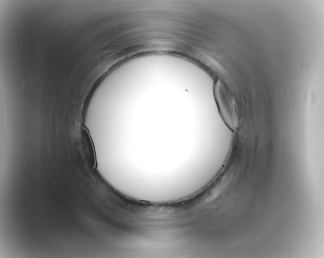 X0000088681081200706211905