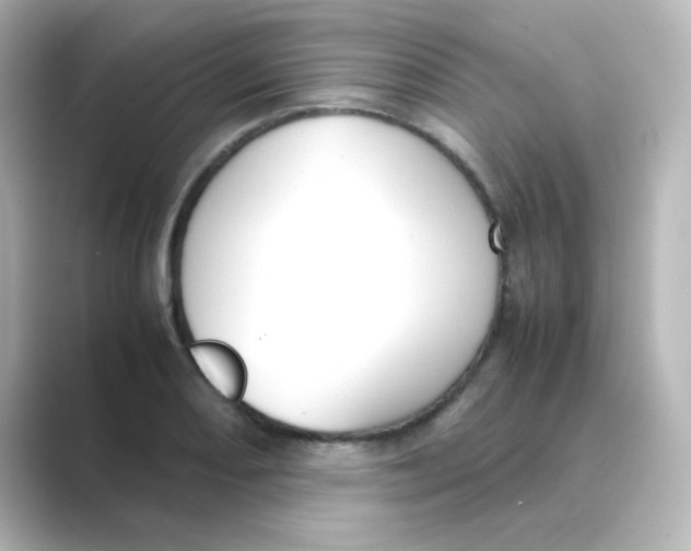 X0000088681082200706211905