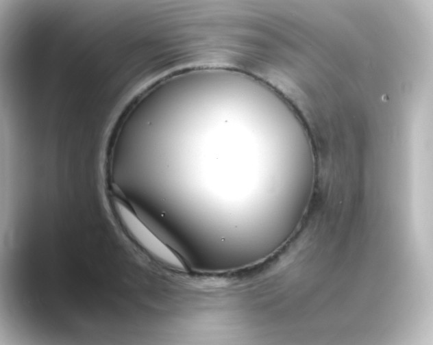 X0000088681085200706211904