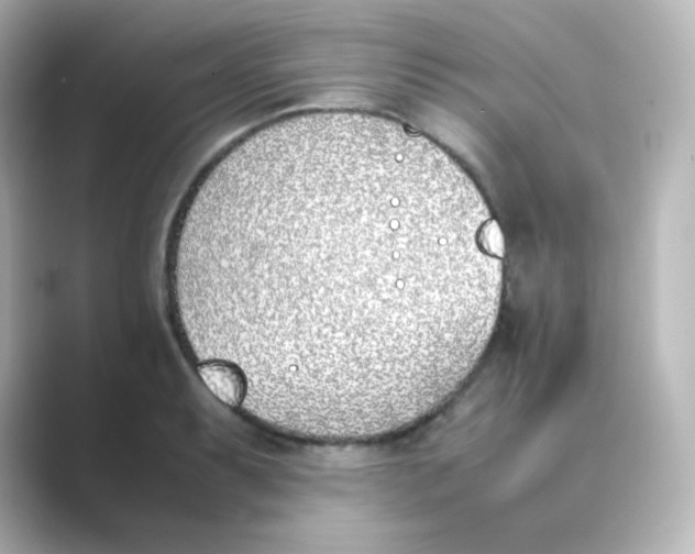 X0000088681087200706211904
