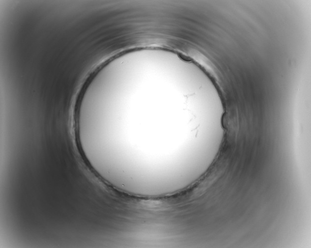X0000088681088200706211904