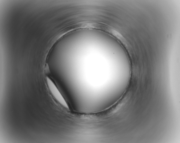 X0000088681089200706211904