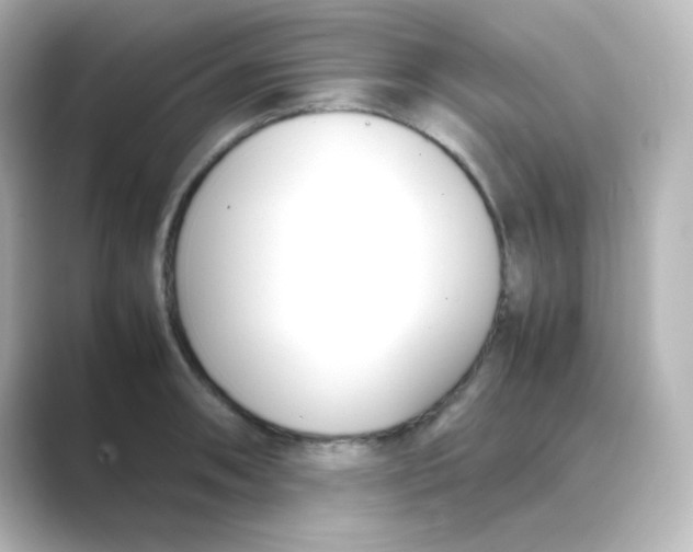 X0000088681090200706211904