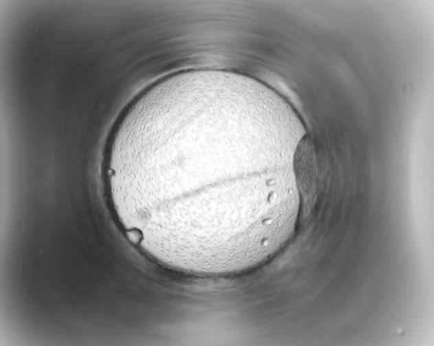 X0000088681091200706211904
