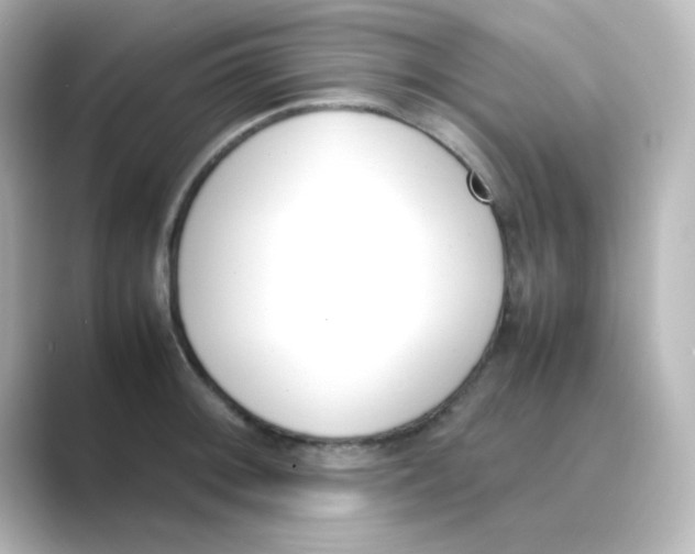 X0000088681092200706211904