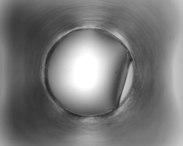 X0000088681093200706211904