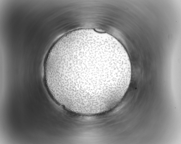 X0000088681095200706211904