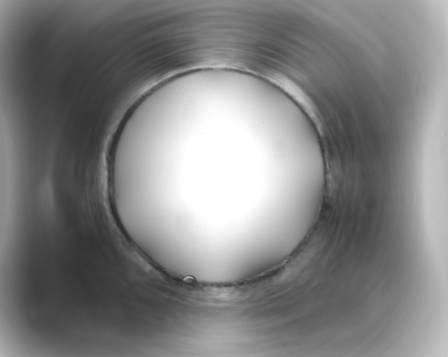 X0000088681096200706211904