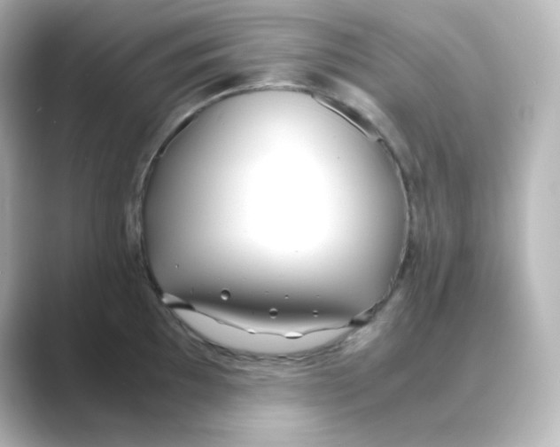 X0000088681097200706211904