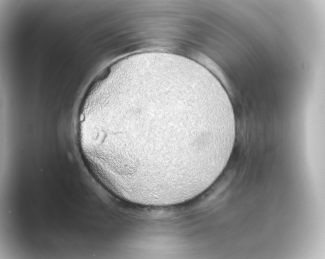 X0000088681099200706211904