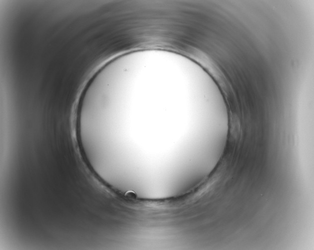 X0000088681102200706211904