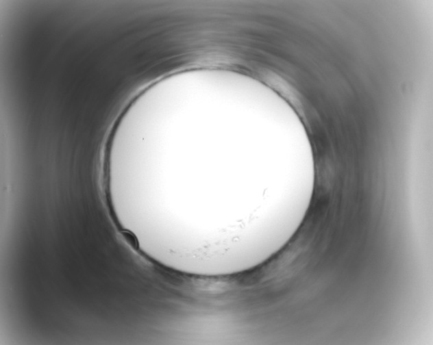 X0000088681103200706211904