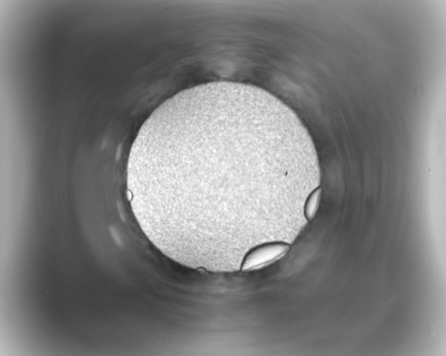 X0000088681105200706211904