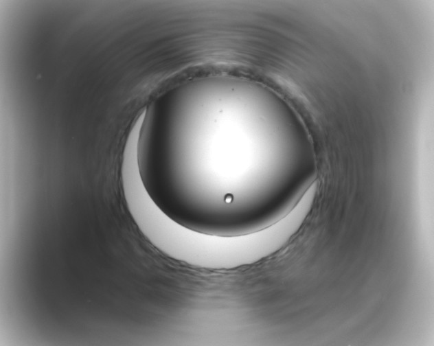 X0000088681110200706211904
