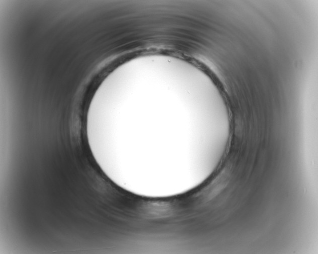 X0000088681115200706211904