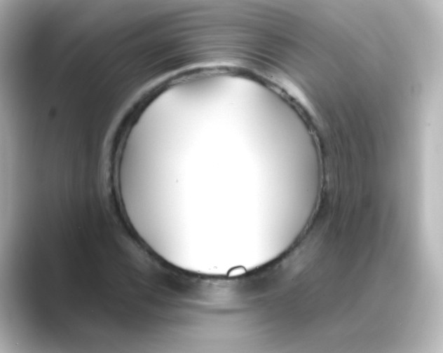 X0000088681116200706211904